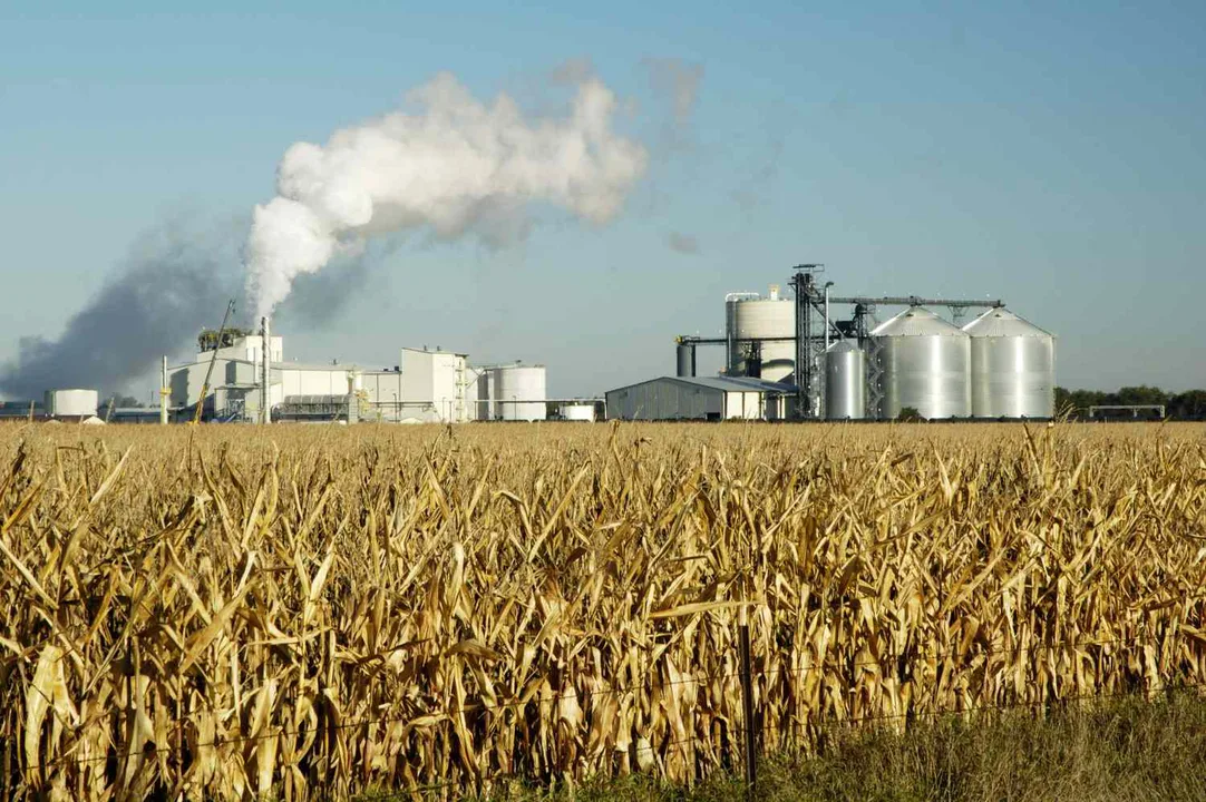 Clients of Reverb Please Speak Out Against Biofuel