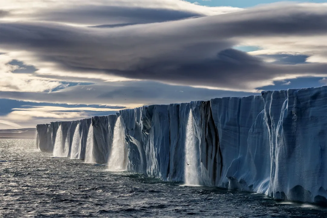 Stop Climate Change NOW