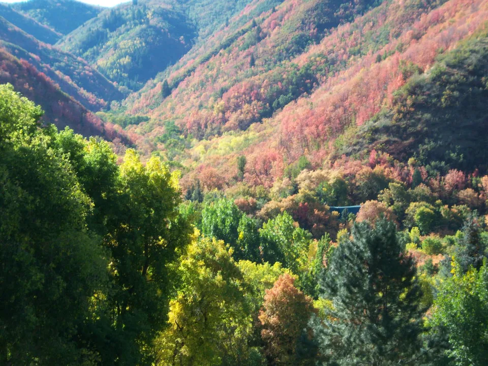 Hobble Creek Canyon Broadband Tower on Forest Service Land