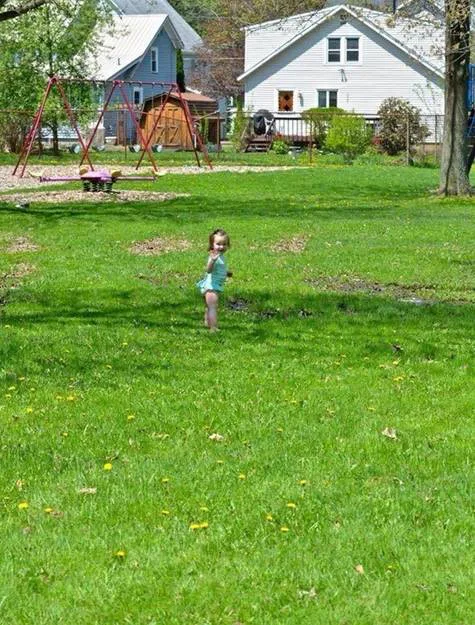 No Dog Park in Mulberry Playground!!!