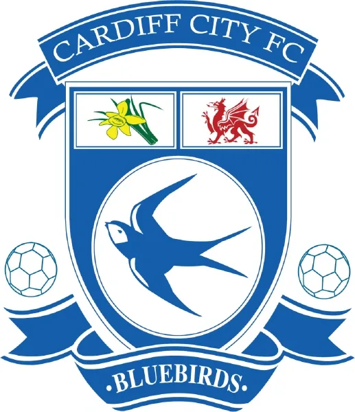 Petition to stop Vincent Tan renaming 'Cardiff City' the 'Cardiff Dragons'