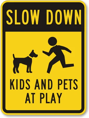 Pattons Point Speed Limit Change