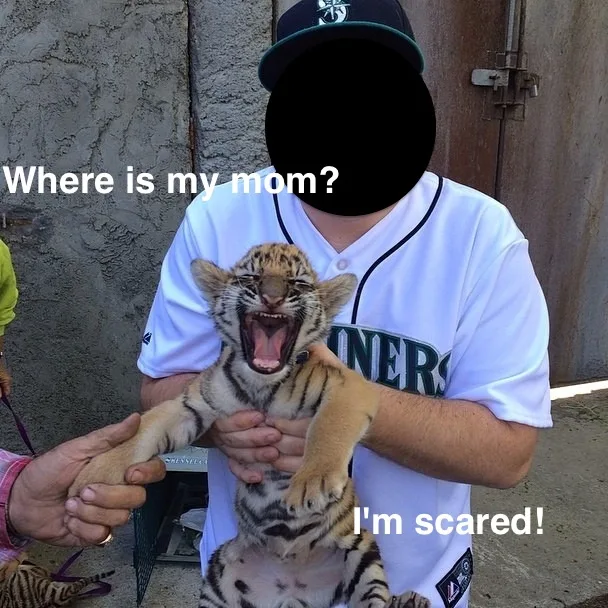 Stop The Unethical Treatment of Tigers Worldwide