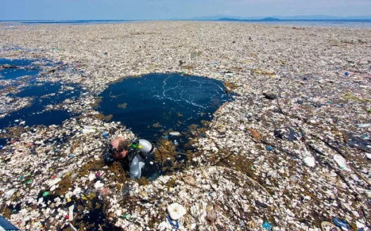 Clean up the great pacific garbage patch