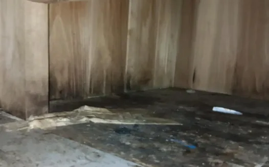 Petition for Mold Safety Regulations in Public Spaces in Florida