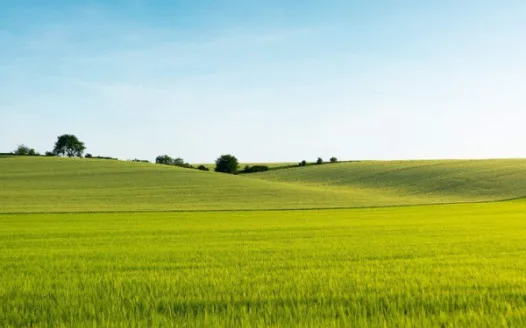 Grow Green: Sign for Sustainable Farming