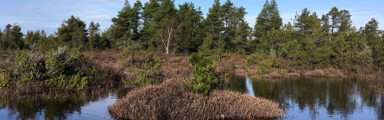Burns Bog UNESCO World Heritage Site designation