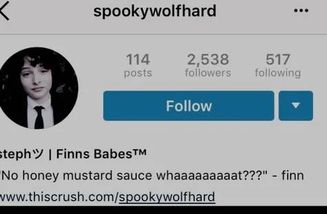STOP HEFANIE!! (Spookywolfhard)