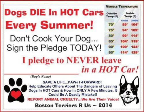 Pledge to NEVER leave your Dog in a HOT car!!