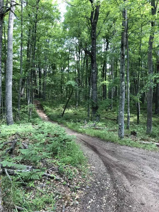 Gladwin Requests The DNR to Help Our County