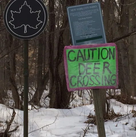 Bring Deer Crossing Traffic Signs to Staten Island