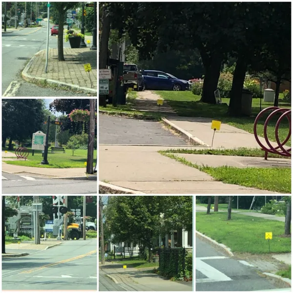 No More Glyphosate on Public Spaces in Altamont, NY