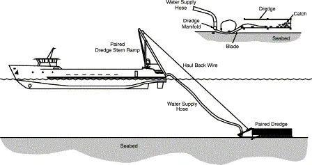 Stop the lease and hydraulic clam dredging of our tidal flats by Longshore Fisheries