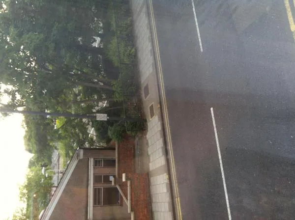 Clean up Harrow