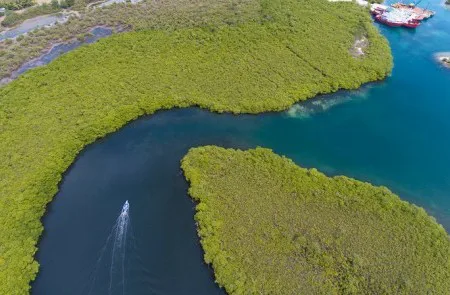 Please Help Us Save, Protect and Conserve the Threatened Ecosystems at Tyrell Bay, Carriacou, Grenada from Indiscriminate Industrial Development 