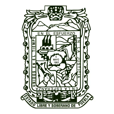 Activar el Consejo Estatal para Prevenir y Atender la Violencia Familiar en el estado de Puebla