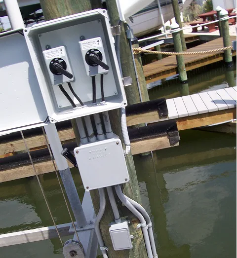 Electric Shock Drowning