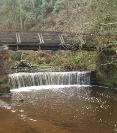 Save Our Falls