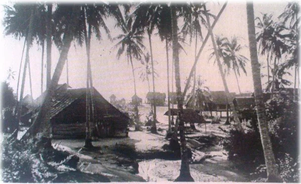 TANJONG TOKONG AS A HERITAGE ZONE.
