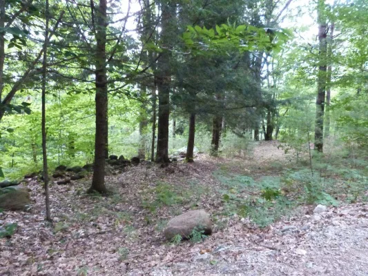 A natural burial site for northern Tasmania