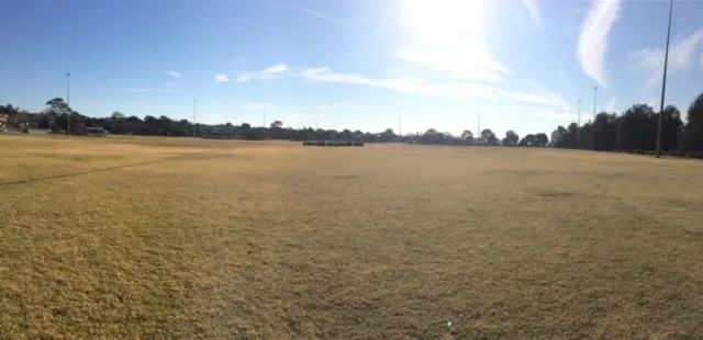 Off-leash dog exercise area at Timbrell Park