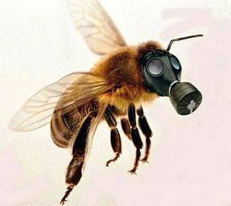 Save our Bees! Ban Use of Neonicotinoids in Canada