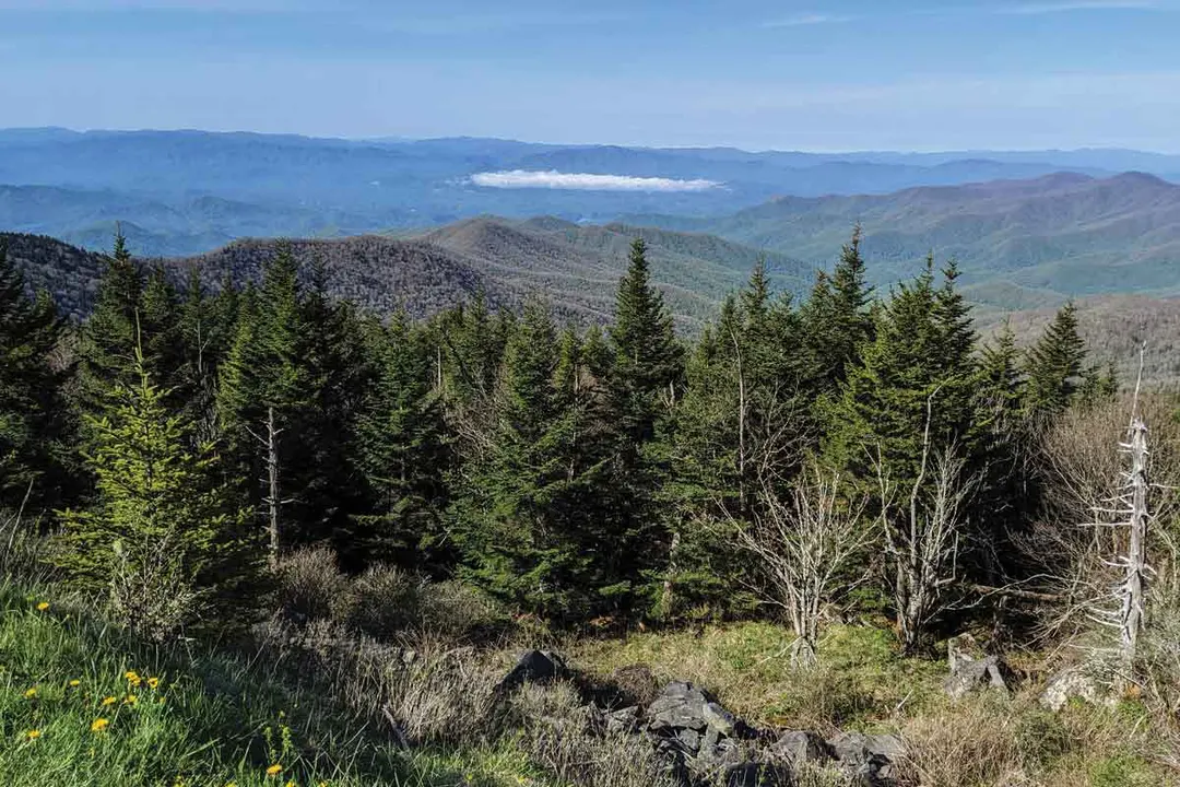 Preserve Henderson County Development Moratorium