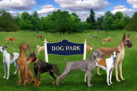 Sign for the parish to build a dog park in Belle Chasse, Louisiana