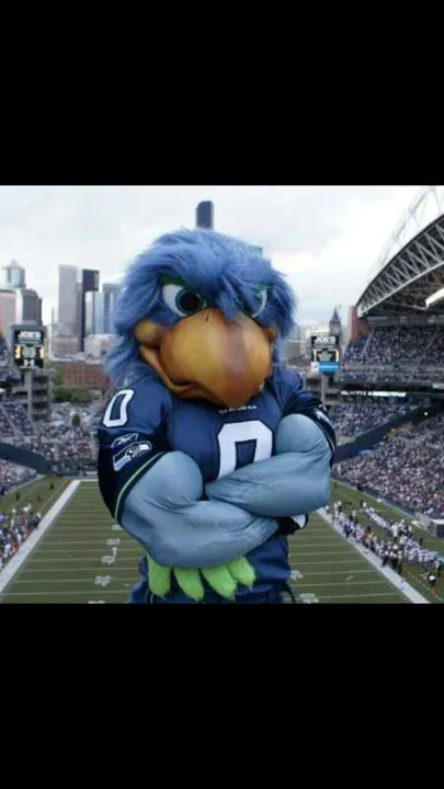Bring Back True Blitz.. Seahawks...