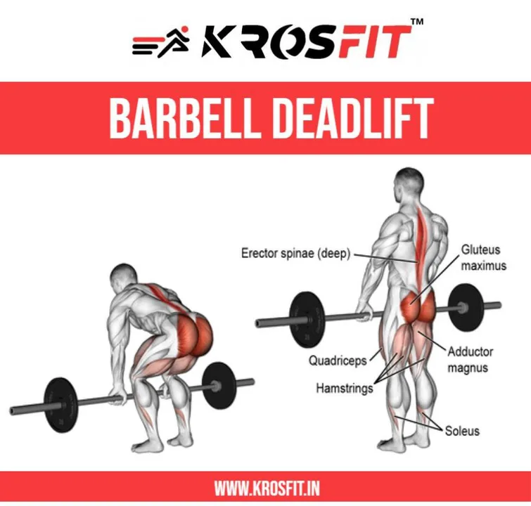 Help Get Rid of Deadlift Ban