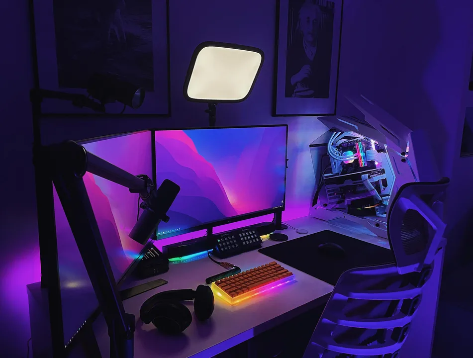BRING BACK SAIDYPOO STREAMS!