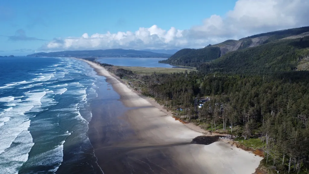 SIGN THE PETITION TO PROTECT OREGON'S STATE FORESTS!