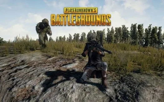 Pubg: The faults that won't go unnoticed any longer.