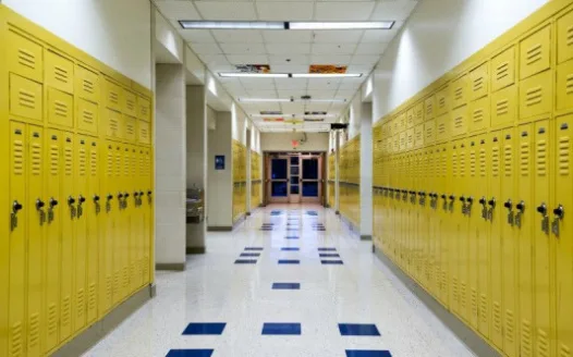 NH Public School Security