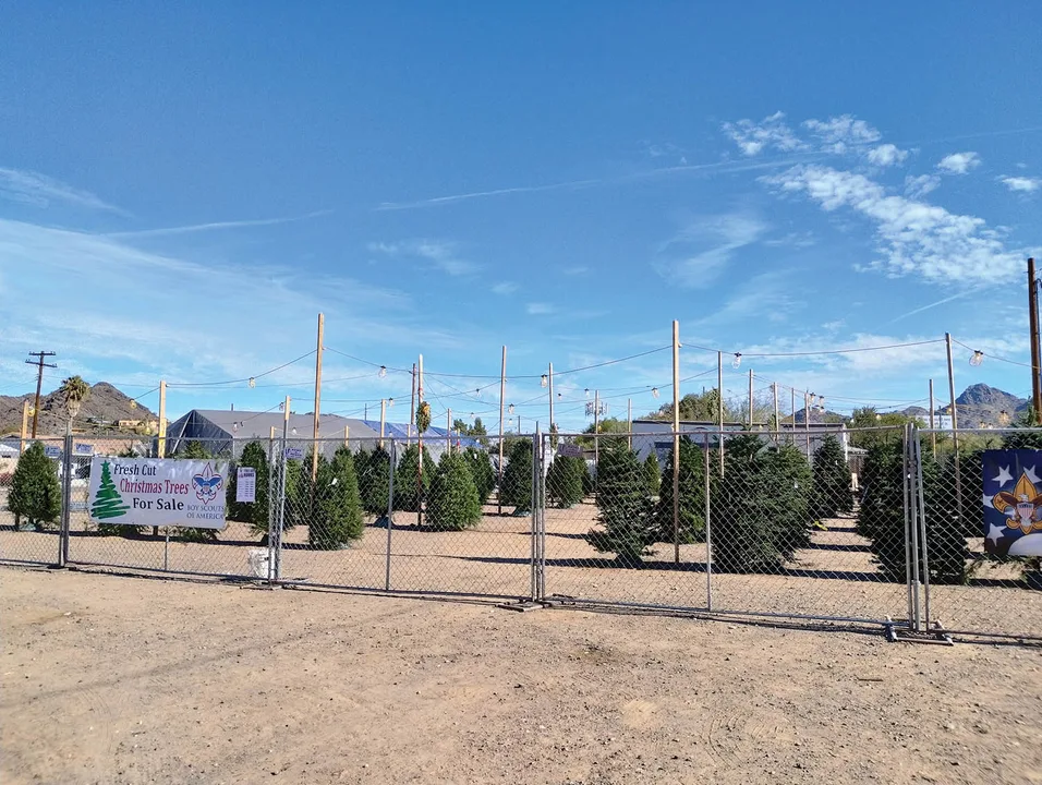 Terraces of Lafayette aka Christmas Tree Lot