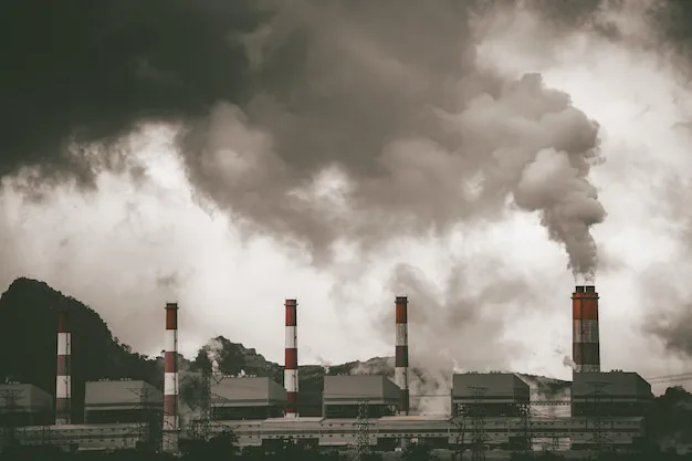 Acid Precipitation Prevention