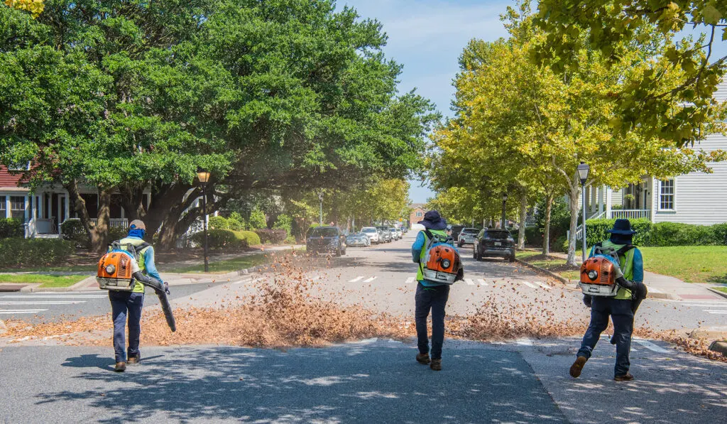 STOP City of Rye Leaf Blower Ban