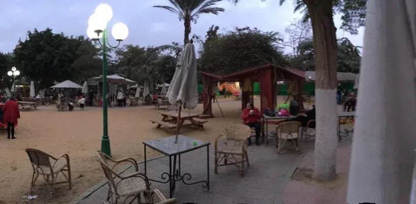 Ban Drift Cars in Baby Garden, Gezira Club Zamalek