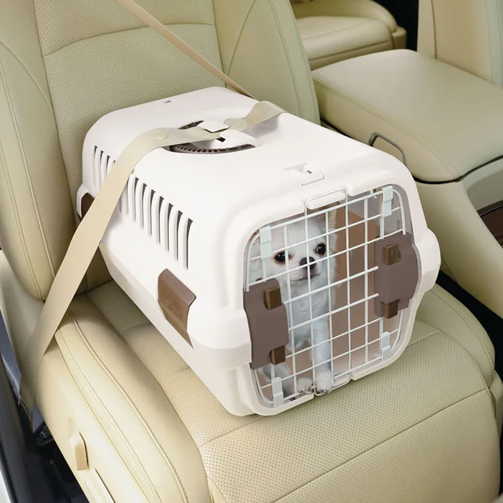 Lap Ban On Animals