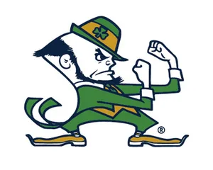 Don't Fire Charlie Weis