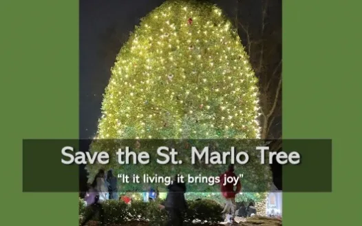 Save the St. Marlo Tree!