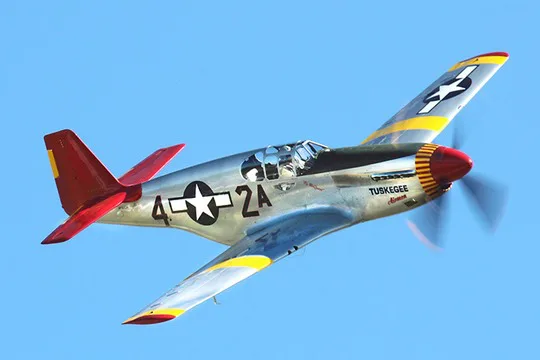 Award Tuskegee Airmen Congressional Medal of Honor
