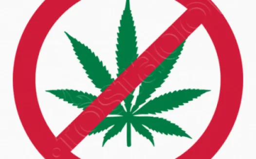 Ban Marijuana in Colorado