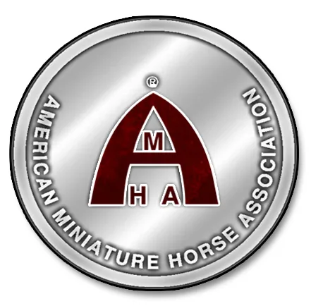 Open the AMHA Studbook to Hardship AMHR Horses