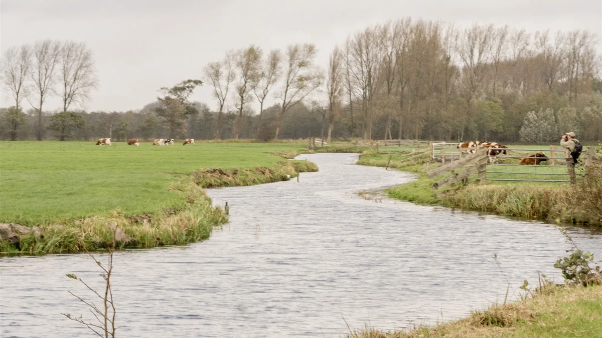 Behoud en herstel van de Duivenvoordecorridor
