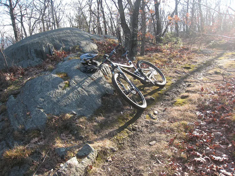 Protection of Trails When Logging City Land