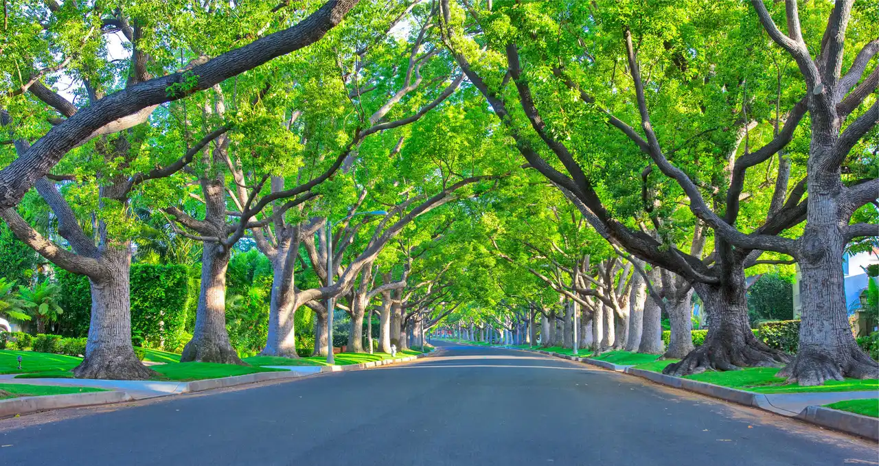 Save the Charm of Maitland!! Opposition to Land Use Change