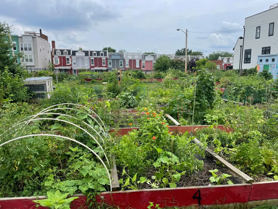 Save Chouteau's Garden!