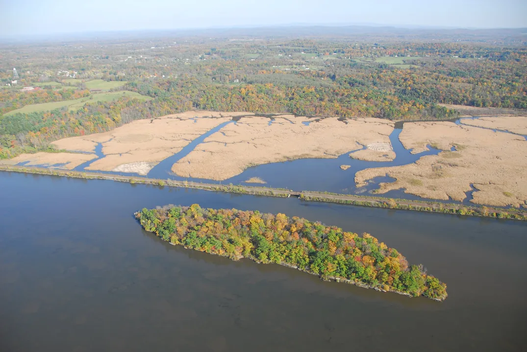 Save Hudson's South Bay