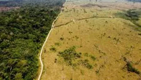 End Deforestation, Stop Global Warming